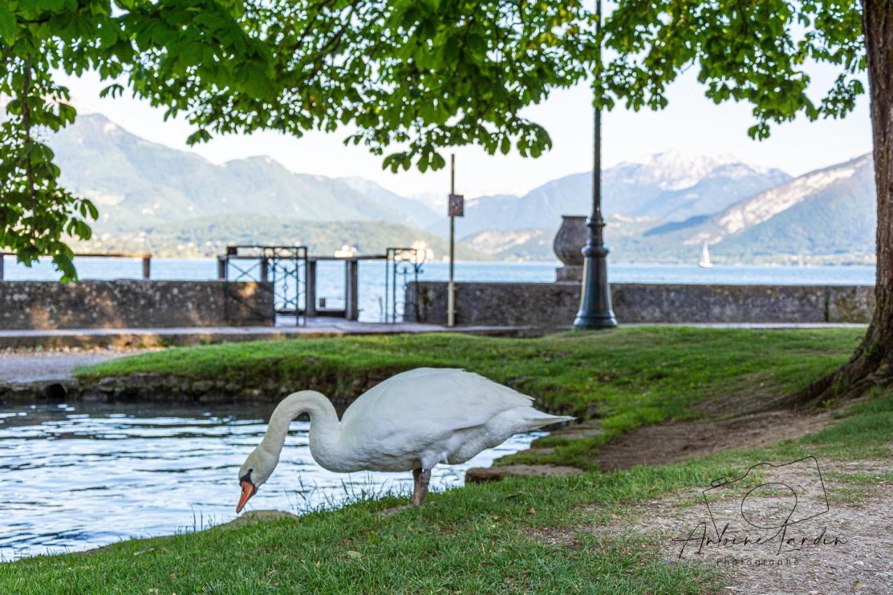 L'Amedee - Appt A 500M Du Lac Annecy Bagian luar foto